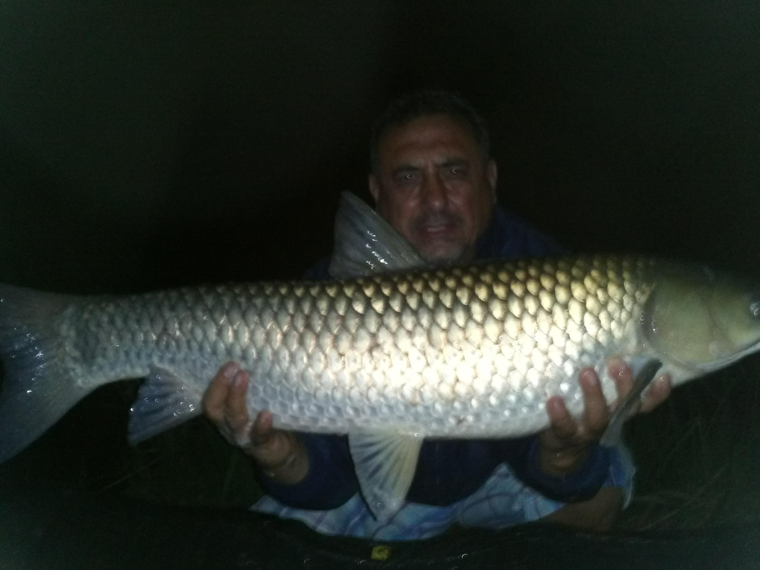 ceva pesti prinsi de mine - 343.jpg